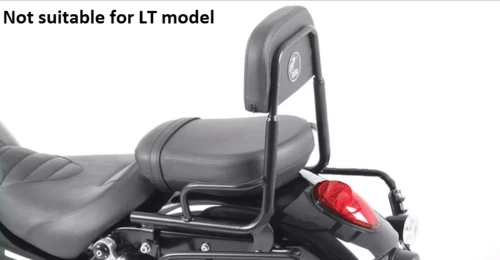 Triumph Thunderbird 1600/1700/Storm/Commander (2009-) sissybar without rack