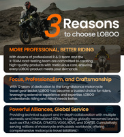 LOBOO Tank bag 4,5-6,5L (10.4.04015.001.01)