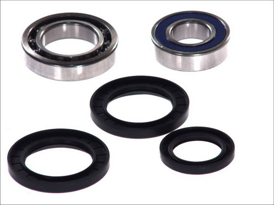 Zestaw łożysk koła tył YAMAHA YFM 250-600 1999-