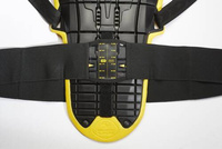 Z140K Back Warrior Evo