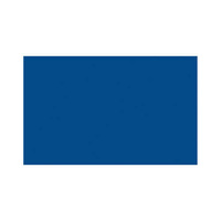 21374 Specjalna farba do zacisków hamulcowych - 150 ml - Niebieska