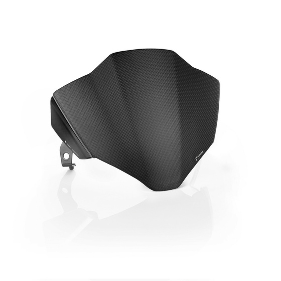 Headlight fairing with Mounting kit