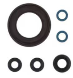 ATHENA KOMPLET (ZESTAW) USZCZELNIACZY SILNIKOWYCH YAMAHA TDM900 '02-'10