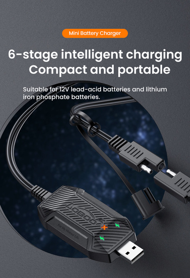 LOBOO Mini ładowarka do akumulatorów (10.1.04021.001.02)