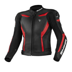 Motorcycle Leather Suit DAINESE AVRO D2 2 PCS