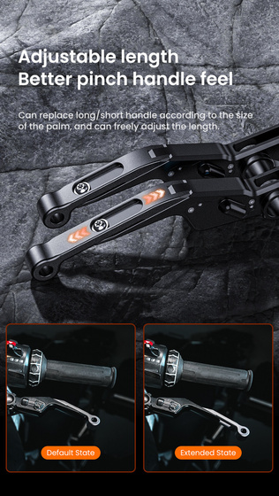 LOBOO Dźwignia sprzęgła BMW ze zintegrowanym przełącznikiem świateł (10.1.10081.001.01)