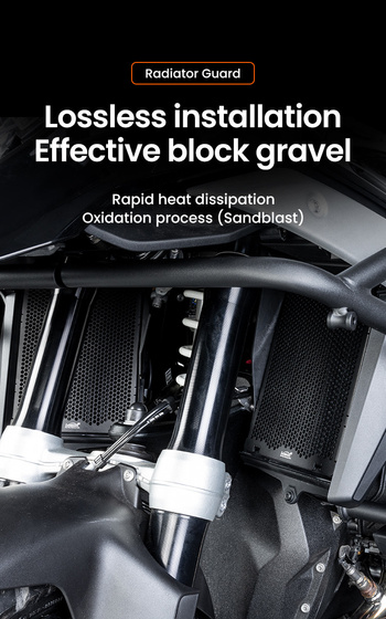 LOBOO Osłona chłodnicy do BMW R1300GS (10.3.07131.001.11)