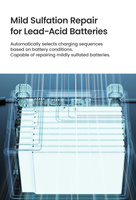 LOBOO Ładowarka dwukierunkowa (10.1.01036.001.01)