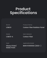 LOBOO Panel chłodnicy z włókna węglowego (czarny metal) do BMW R1300GS (2023-) Carbon Fiber Radiator Panel (10.3.32131.001.11)