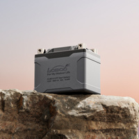 LOBOO Akumulator Litowy (10.1.04060.001.01)