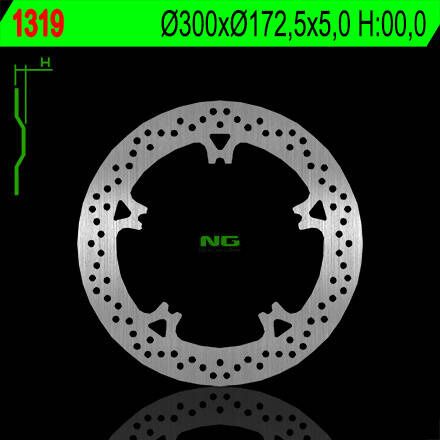 NG TARCZA HAMULCOWA PRZÓD HARLEY-DAVIDSON V-ROAD '06-'13, NIGHT ROAD '07-'13 (300X172,5X5) (5X12,5MM)