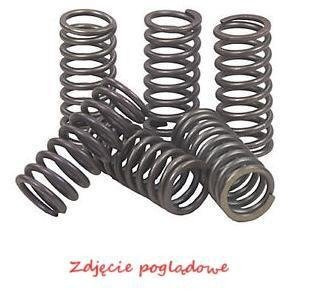 Spr�yny sprz�g�owe EBC (6 szt. w zestawie) CSK069