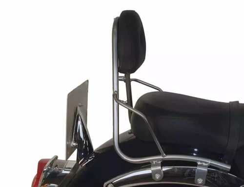 Kawasaki VN 1600 Classic (2003-2008) sissybar without rack