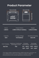 LOBOO Akumulator Litowy (10.1.04060.001.01)
