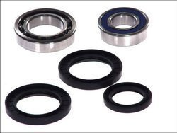 Zestaw łożysk koła tył YAMAHA YFM 250-600 1999-