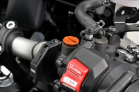 Śruba zaślepka do otworu lusterka  M10-P1.25/lewa pomarańczowa