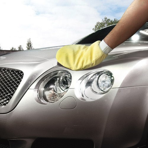 37204 Chamois sponge glove