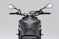 D-MIRROR-12,DIAMO/ROD (L)ABS HOUSING+ALU.STEM