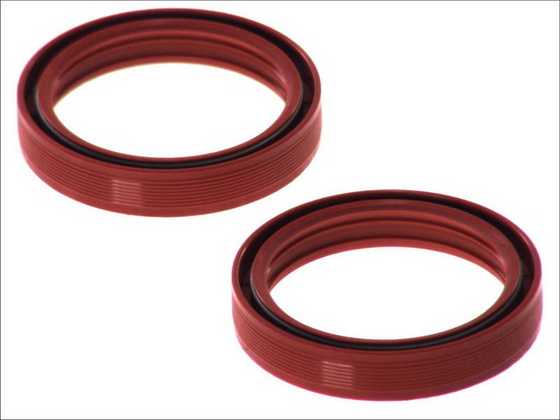 Uszczelniacze olejowe przedniego zawieszenia (śr. wew.: 46mm/śr. zew.: 58mm/wys.: 10mm, ilość w opakowaniu: 2szt.) HONDA CR, XR INDIAN CHIEF, CHIEFTAIN, ROADMASTER, SPRINGFIELD 125-1900 1989-