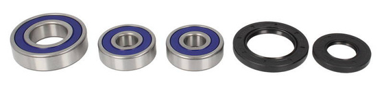 Zestaw łożysk koła tył YAMAHA FZ6 600 2009-