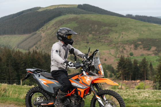 Tor Men's Light Grey