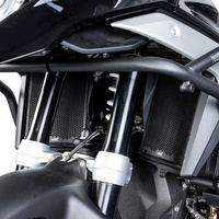 LOBOO Osłona chłodnicy do BMW R1300GS (10.3.07131.001.11)