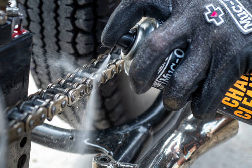 650 Biodegradable Chain Cleaner