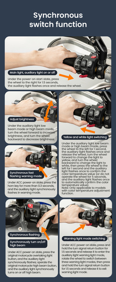 LOBOO Sterownik magistrali CAN świateł (10.1.01106.001.01)