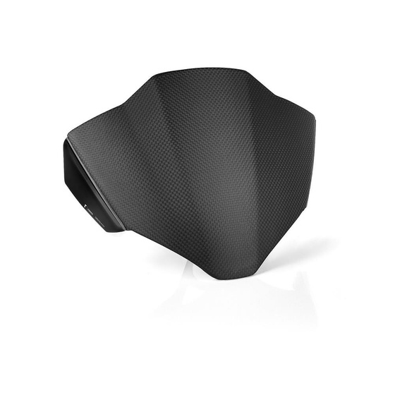 Headlight fairing (carbon)