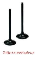 ProX Steel Intake Valve Sea-Doo GTX-4TEC '03-09 + RXP/RXT '0