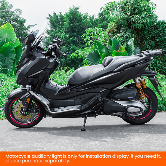 LOBOO Crash Bar do HONDA FORZA350 (2021-) Silver (10.3.01371.001.21)