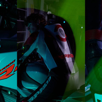 Y161 DP-Progressive Pro