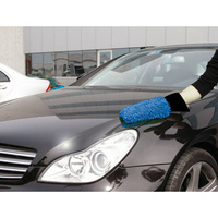 37222 Car-wash glove
