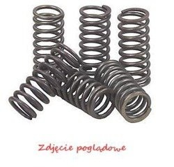 Spr�yny sprz�g�owe EBC (6 szt. w zestawie) CSK069