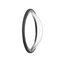 Insta360 X4 Standard Lens Guards