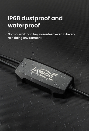 LOBOO Sterownik magistrali CAN świateł (10.1.01106.001.01)