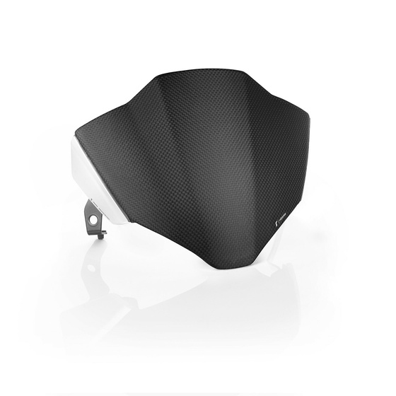 Headlight fairing with Mounting kit