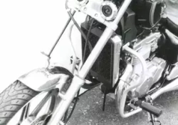 Kawasaki EN 500 (1990-1995) engine guard