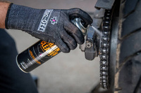 650 Biodegradable Chain Cleaner