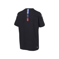 Koszulka t-shirt męska Team BMW Motorsport